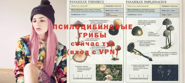 тгк Сосновка